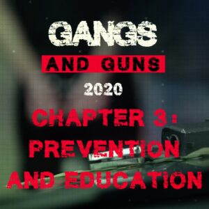 Gangs and Guns 2020 Chapter 3: Prevention and Education