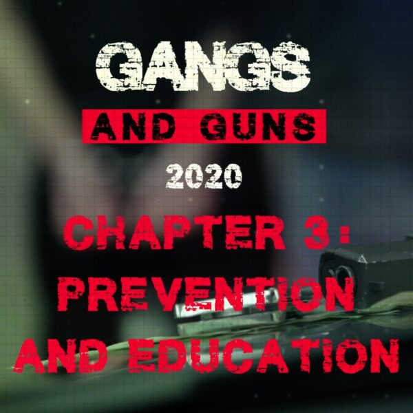 Gangs and Guns 2020 Chapter 3: Prevention and Education