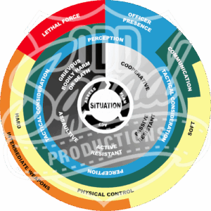 National Use of Force Framework
