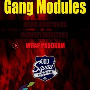 Gang Module 3 - Gang Intervention and Prevention - The Surrey Wrap Program (download)